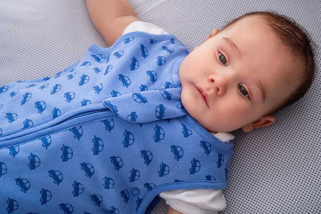 Slaapzak Dreamy Cars (2.5 TOG)