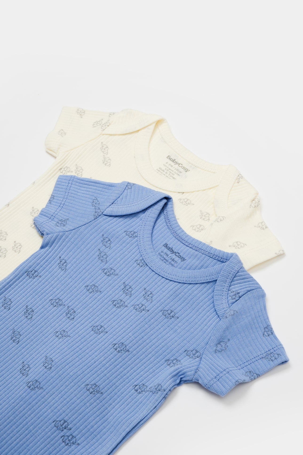 Set van 2 korte mouw rompertjes - Tomiju Baby