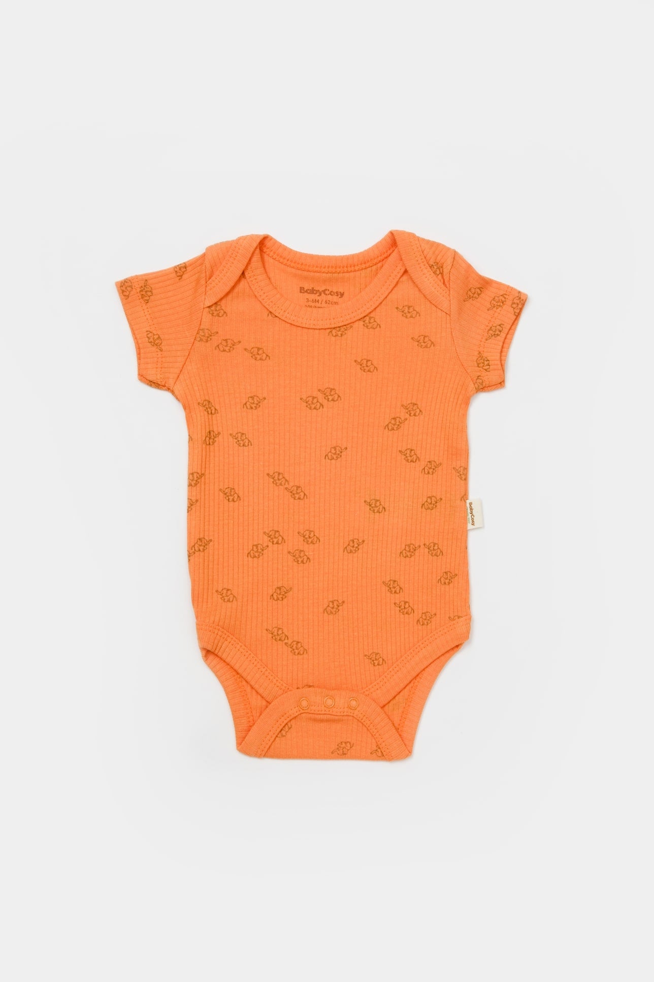 Set van 2 korte mouw rompertjes - Tomiju Baby