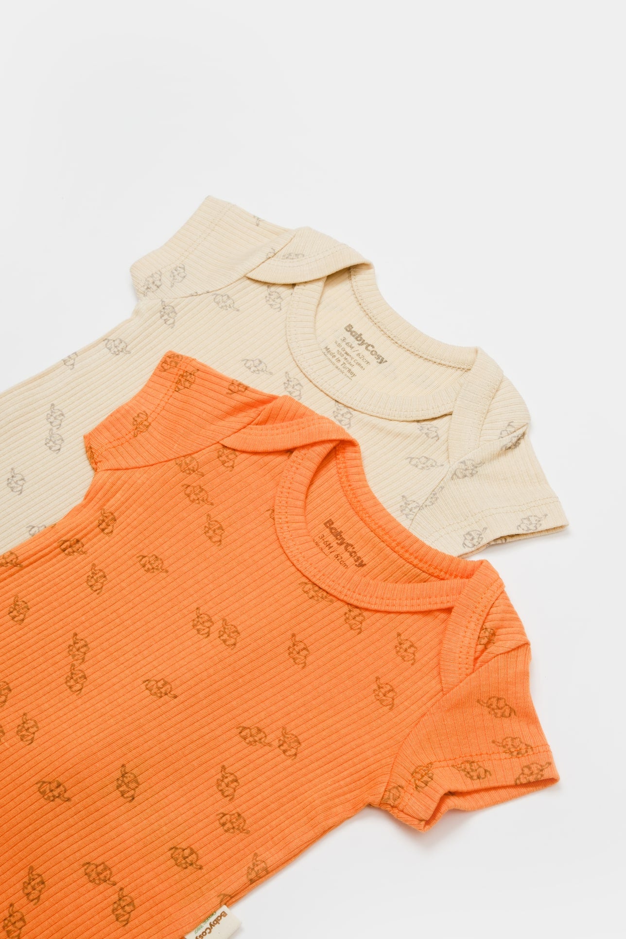 Set van 2 korte mouw rompertjes - Tomiju Baby