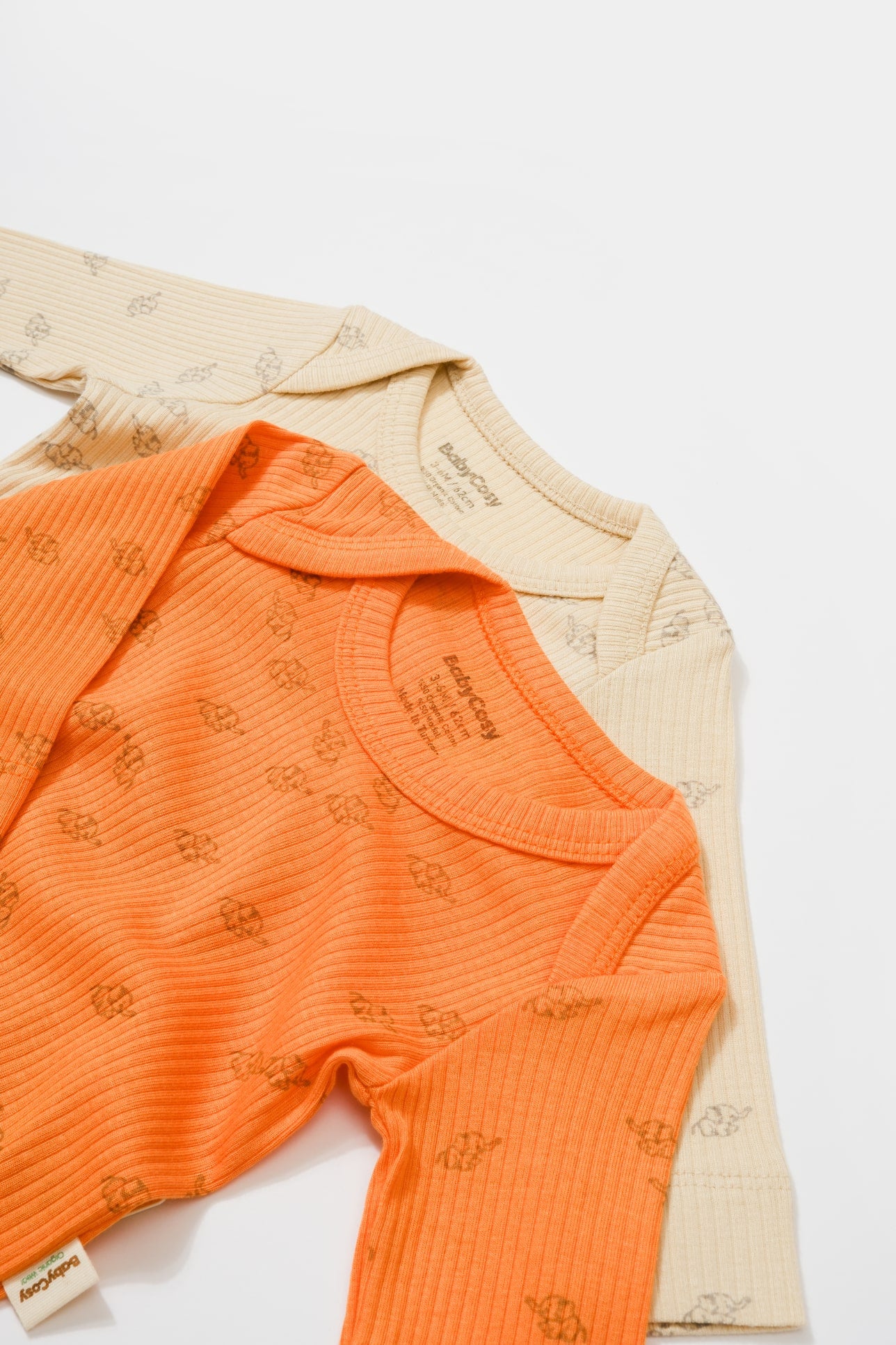 Set van 2 rompers met een lange mouw - Tomiju Baby