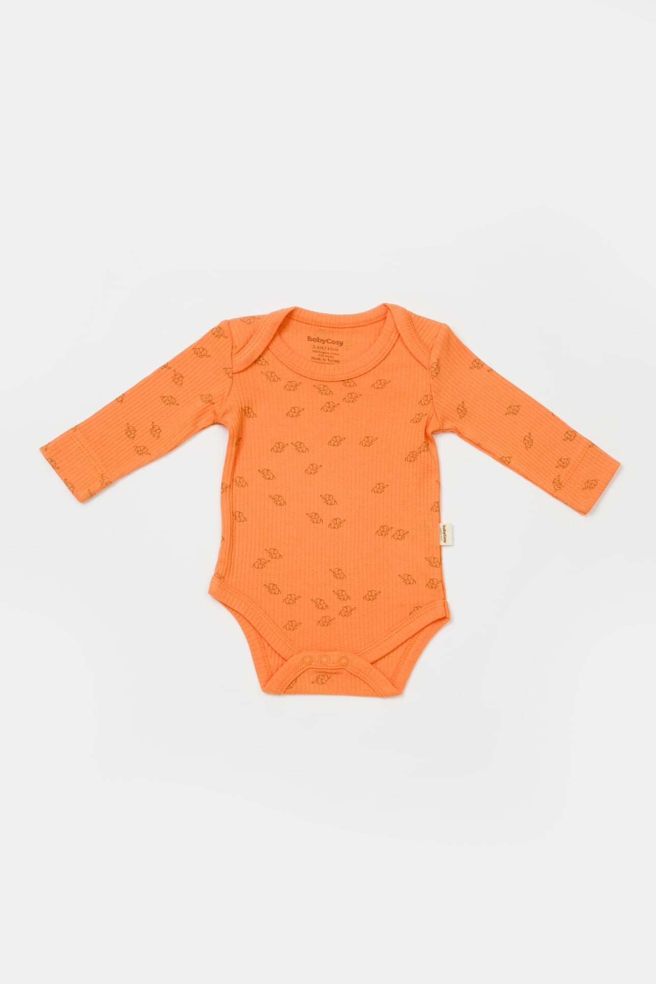 Set van 2 rompers met een lange mouw - Tomiju Baby