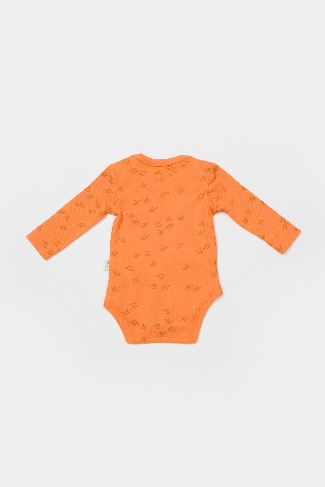 Set van 2 rompers met een lange mouw - Tomiju Baby